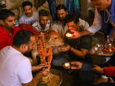 गोपाष्टमी के दिन गाय को क्या खिलाएं?