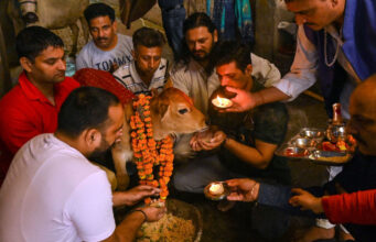 गोपाष्टमी के दिन गाय को क्या खिलाएं?