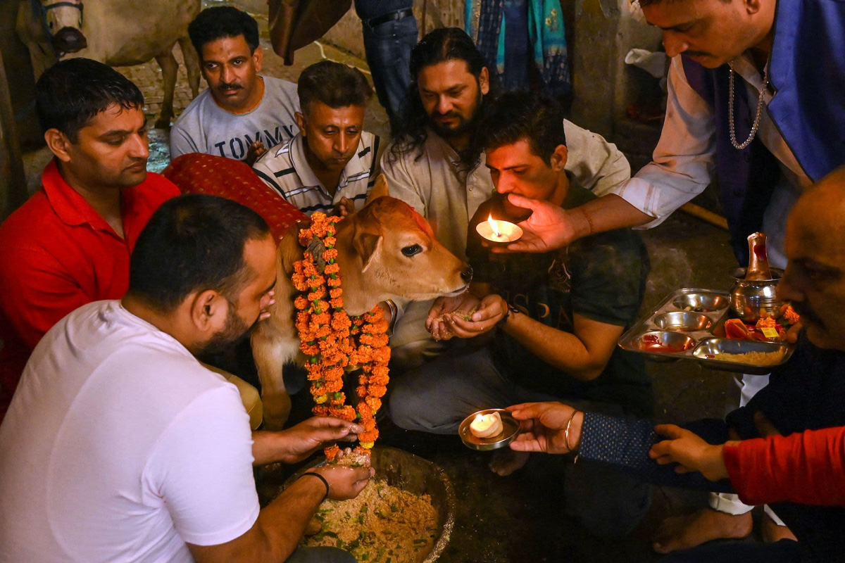 gopashtami-2025-pr-kya-upay-kare-1761640026361
