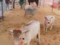 पुष्कर मेले में – जयपुर के युवा पशुपालक की स्टॉल आकर्षण का केंद्र