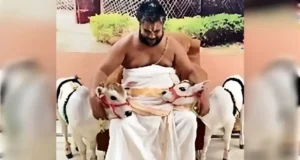 अलवर में पहली बार आई वेंकटेश बालाजी धाम में 18 इंच की गाय