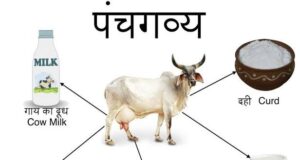 गोबर और गौमूत्र से बने उत्पाद