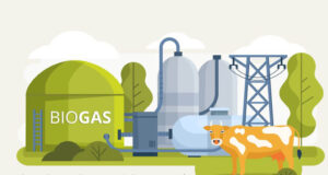 गौ गोबर से हरित ऊर्जा (Green Energy): भारत का सतत भविष्य का ईंधन