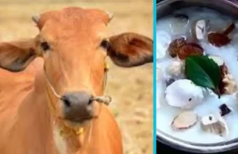 रेबीज से गाय की मौत के बाद मचा हड़कंप, दहशत में चरणामृत पीने वाले