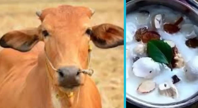 रेबीज से गाय की मौत के बाद मचा हड़कंप, दहशत में चरणामृत पीने वाले