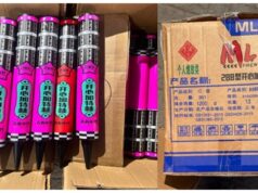 मुंद्रा बंदरगाह पर तस्करी वाले 5 करोड़ रुपये मूल्य के पटाखे जब्त