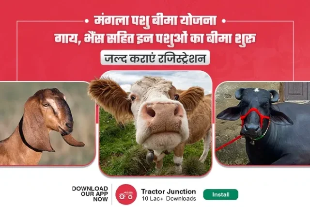 sarkari-yojana-1764072411