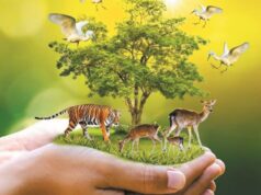 वन्य जीवों का संरक्षण