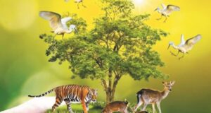 वन्य जीवों का संरक्षण