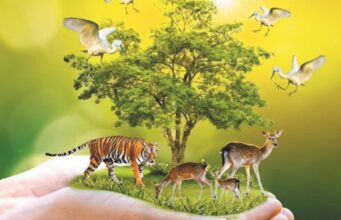 वन्य जीवों का संरक्षण