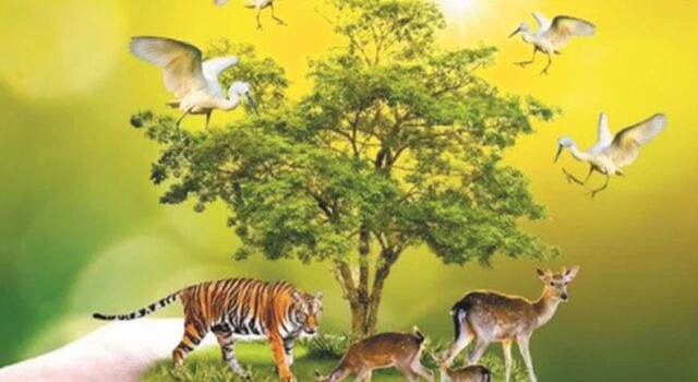 वन्य जीवों का संरक्षण