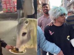 गाय को चिकन मोमोज खिलाने वाले एक यूट्यूबर को पुलिस ने किया गिरफ़्तार