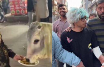 गाय को चिकन मोमोज खिलाने वाले एक यूट्यूबर को पुलिस ने किया गिरफ़्तार