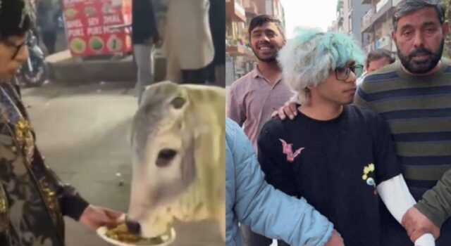 गाय को चिकन मोमोज खिलाने वाले एक यूट्यूबर को पुलिस ने किया गिरफ़्तार