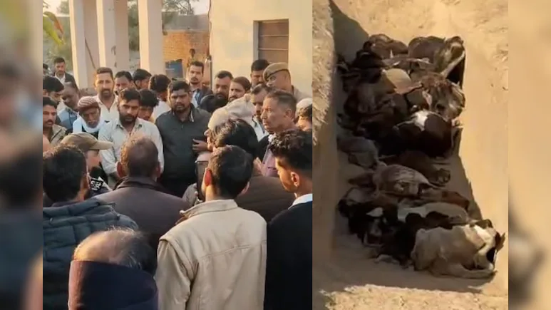 p2uujc38_rajasthan-_625x300_18_December_25