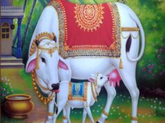 अच्छी नस्ल की गाय पालन करने से किसान की होगी अच्छी आमदनी, पशु बीमार होने पर 1962 पर दें सूचना