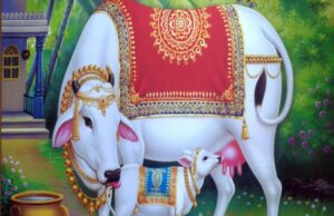 अच्छी नस्ल की गाय पालन करने से किसान की होगी अच्छी आमदनी, पशु बीमार होने पर 1962 पर दें सूचना